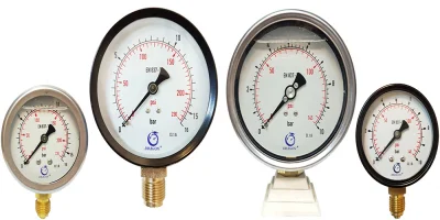 کاتالوگ، لیست قیمت و خرید گیج فشار ایستاده خشک و روغنی DRAGON فشار وکیوم و فشار مثبت - 0-1000 بار - گیج فشار روغنی دراگون | مرکز برق